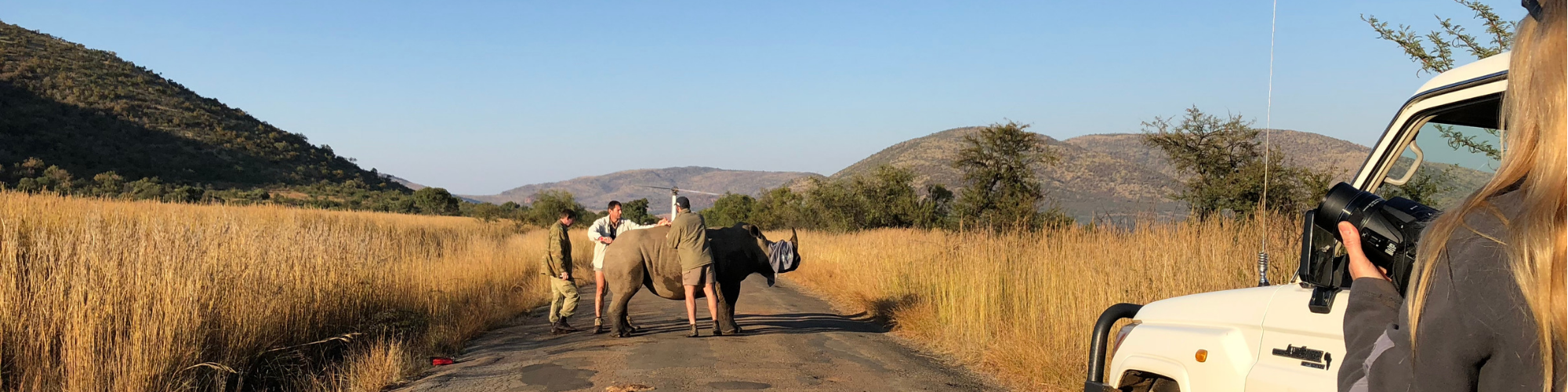 South African Conservation Safari